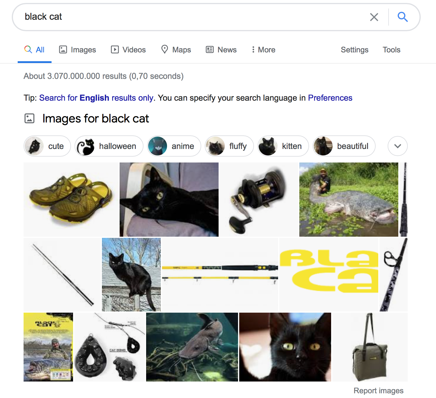 serp-image.png